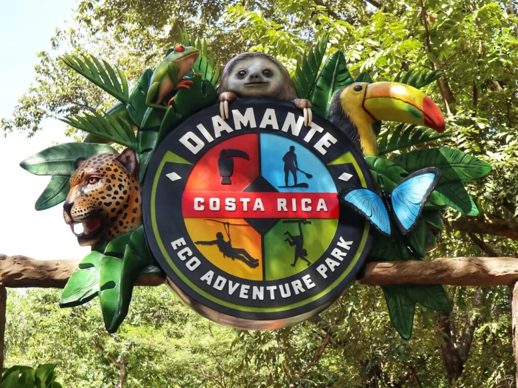 a74614f8 f5ad 456c a2a6 b0602a6ae7a1.jpg