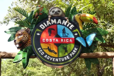 a74614f8 f5ad 456c a2a6 b0602a6ae7a1.jpg