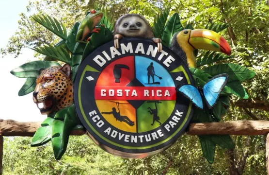 a74614f8 f5ad 456c a2a6 b0602a6ae7a1.jpg