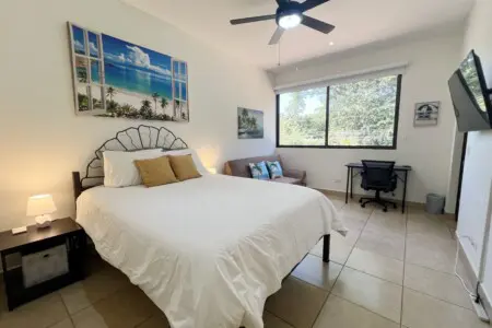 ac88ed17 1f22 4ad9 b72c f4a53e07a25f.jpg