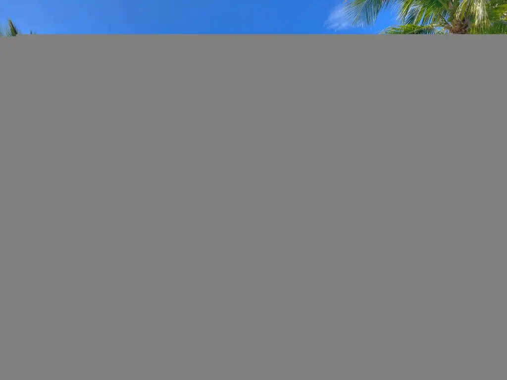 ad78ca7f be1a 4b53 b71c 1abfbcfd0d76.jpg