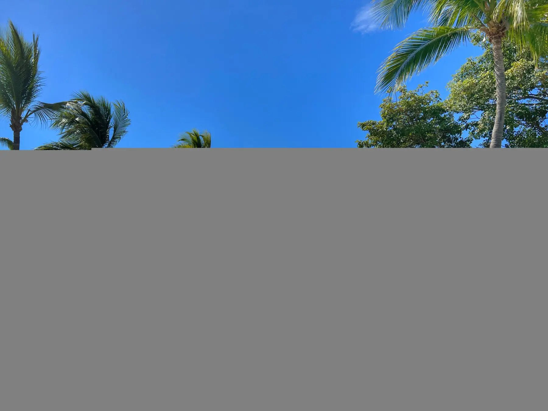 ad78ca7f be1a 4b53 b71c 1abfbcfd0d76.jpg