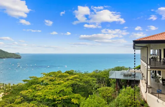 ad7bbfc5 c702 4669 86f0 9094dcff23e3.jpg