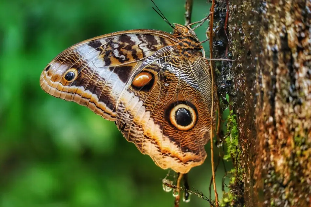 ae5bb0ef 39f6 4170 bd62 b2130b50463d.jpg