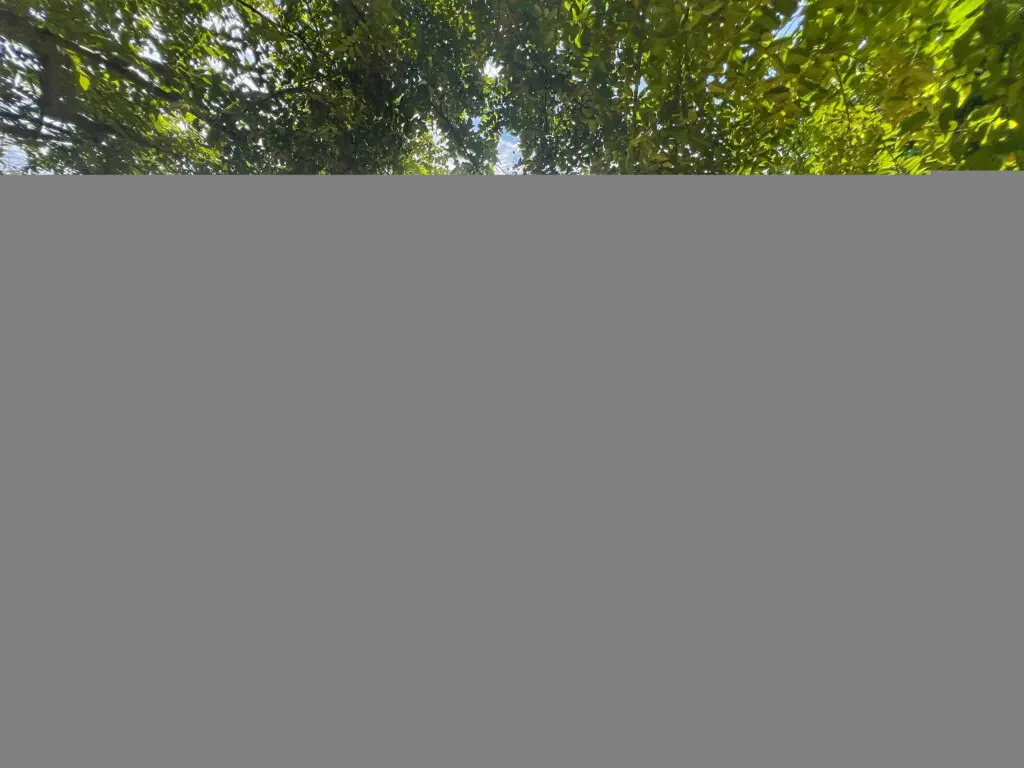 b291cacf 6740 4dd8 810b 4a8cf40ad26c.jpg