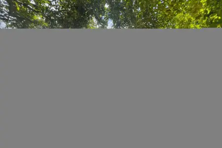 b291cacf 6740 4dd8 810b 4a8cf40ad26c.jpg