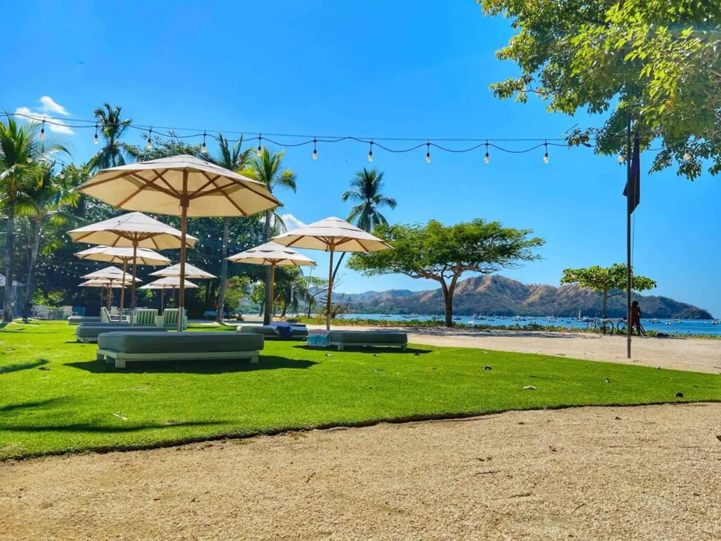 b35b3820 723c 436d 861e 8b325e226276.jpg