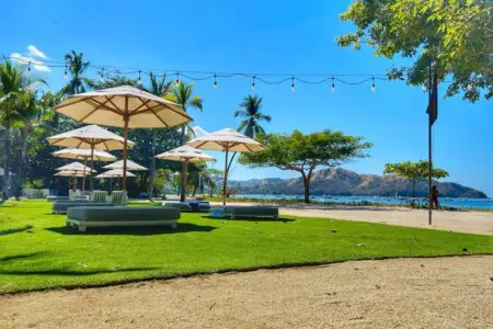 b35b3820 723c 436d 861e 8b325e226276.jpg