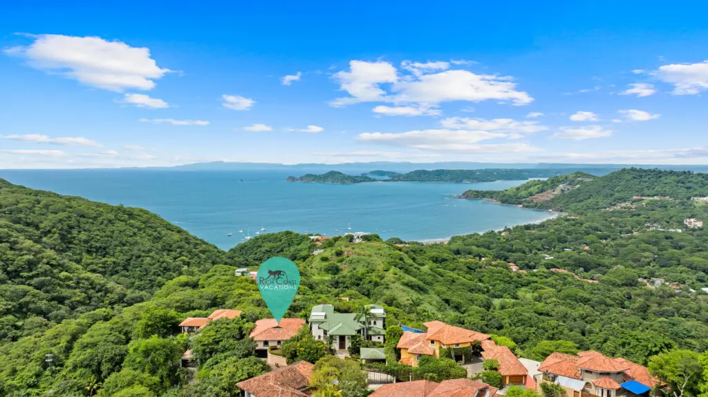 b6b2ffcc 1cd0 4154 b9be b7363d3c51ea.jpg