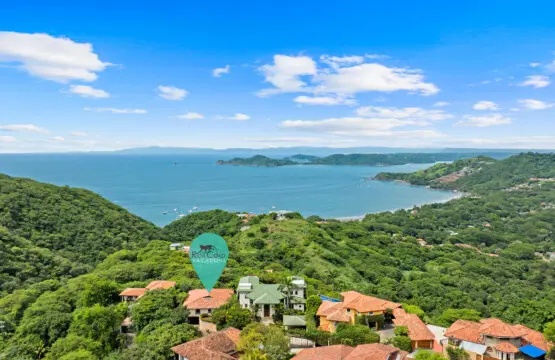 b6b2ffcc 1cd0 4154 b9be b7363d3c51ea.jpg