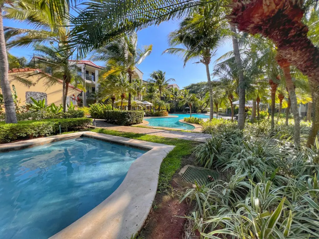 b915a853 e4c9 4e36 8287 32f8bfbf364d.jpg