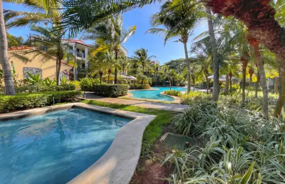 b915a853 e4c9 4e36 8287 32f8bfbf364d.jpg