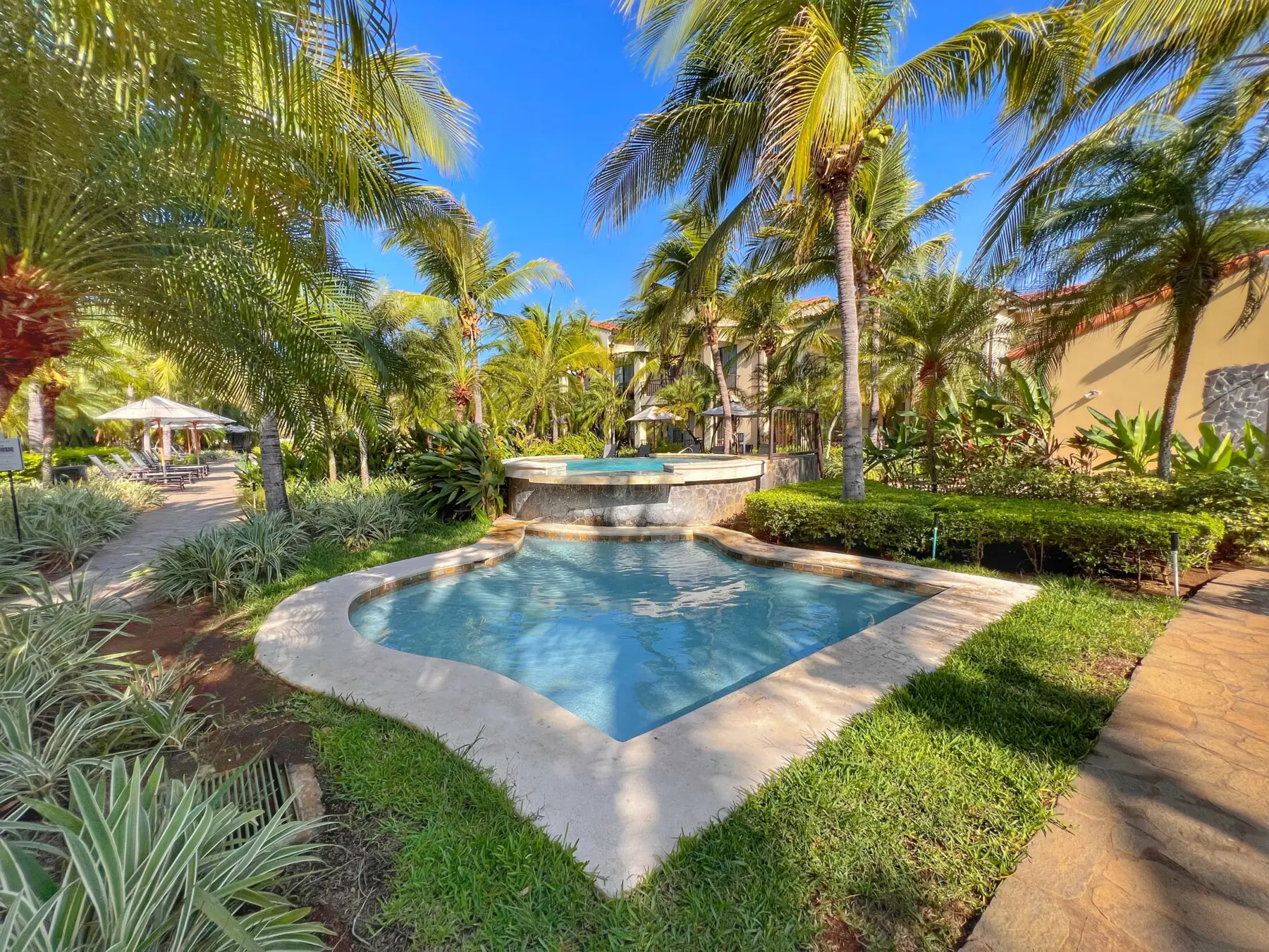 b94ae55b f1c6 43ba bb41 14a77c54a553.jpg