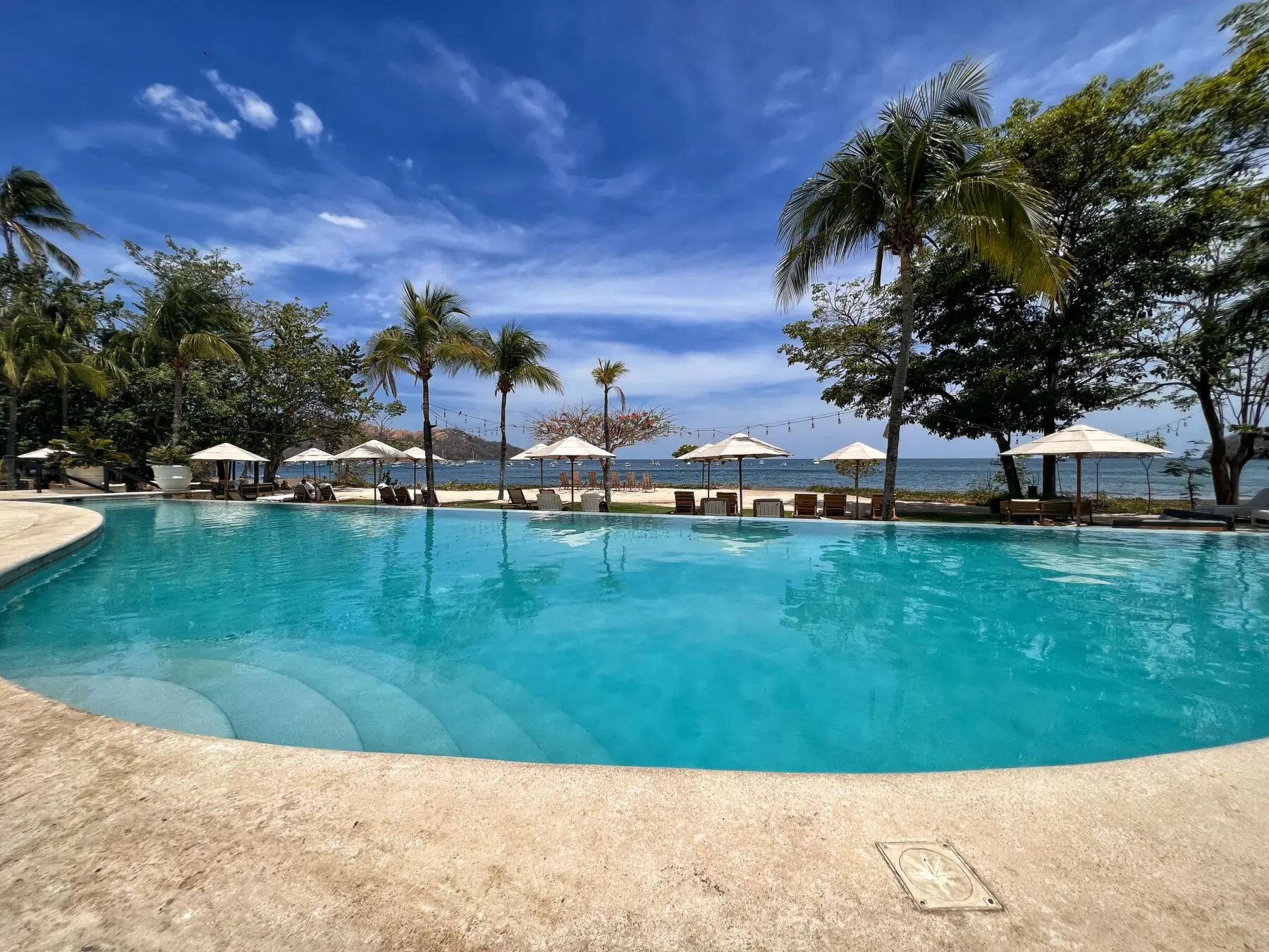 b961db04 a272 42e0 ac3f 0f3d9979cc3b.jpg