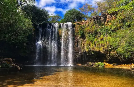 ba885eaa 8a13 4166 987f bd5a0321b425.jpg