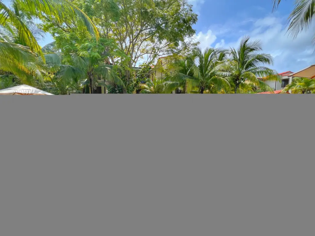 bb131c1d 2cdf 4b63 ae6e e35a8d3cd9e5.jpg