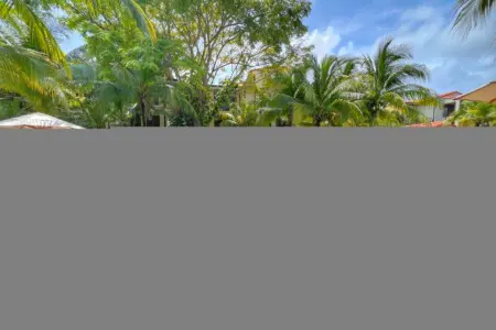 bb131c1d 2cdf 4b63 ae6e e35a8d3cd9e5.jpg