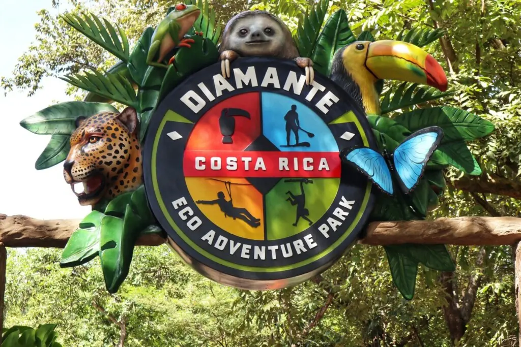 bb3be0e1 b802 4b82 b532 6bef86564e0f.jpg