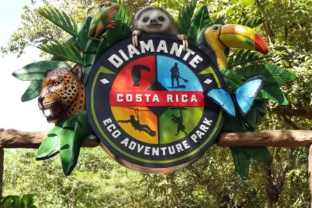 bb3be0e1 b802 4b82 b532 6bef86564e0f.jpg