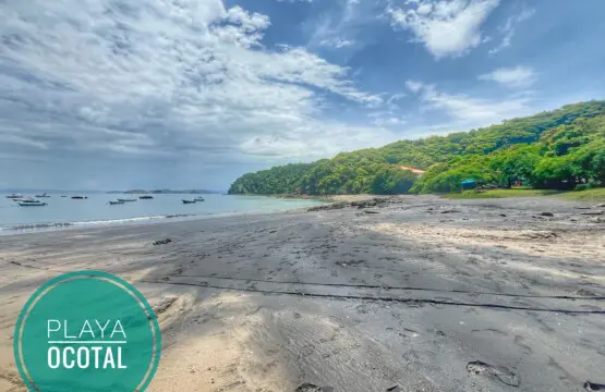 bb6eea16 a336 4e1c 82ba e10c87490006.jpg