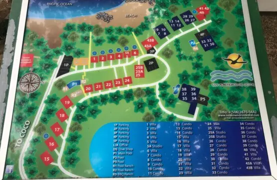 be19435c cc7d 4c1c b30a 713b065ce843.jpg