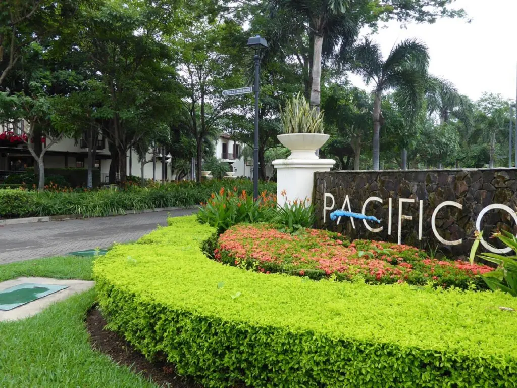 c015461c d031 4d3e b363 befe62bbaaef.jpg