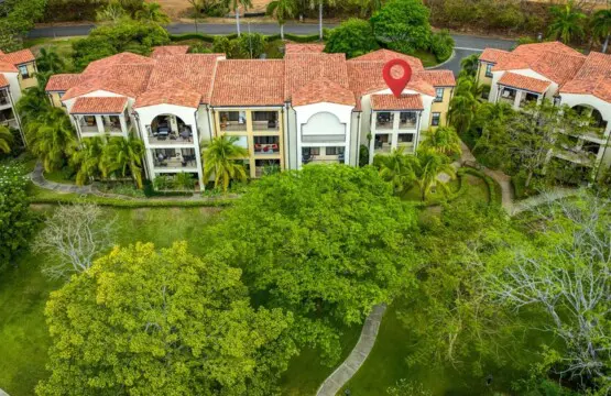 c2945b1c 7666 4c4b 9e1b 48a2a0ccc317.jpg