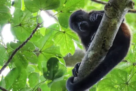 c539cdaf ecbc 4b10 8248 6880043d593b.jpg