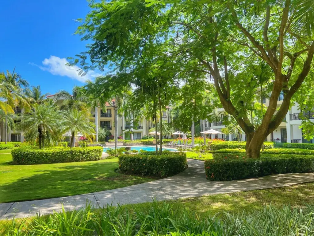 c732ba14 d300 46c0 a7f9 f630d08cbc9c.jpg