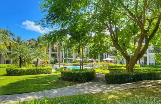 c732ba14 d300 46c0 a7f9 f630d08cbc9c.jpg