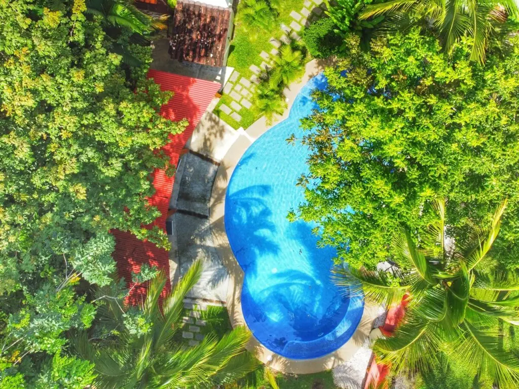 c91a21e5 ff7b 4af2 9cc1 c234c347a50d.jpg