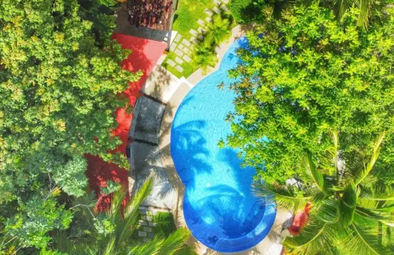 c91a21e5 ff7b 4af2 9cc1 c234c347a50d.jpg