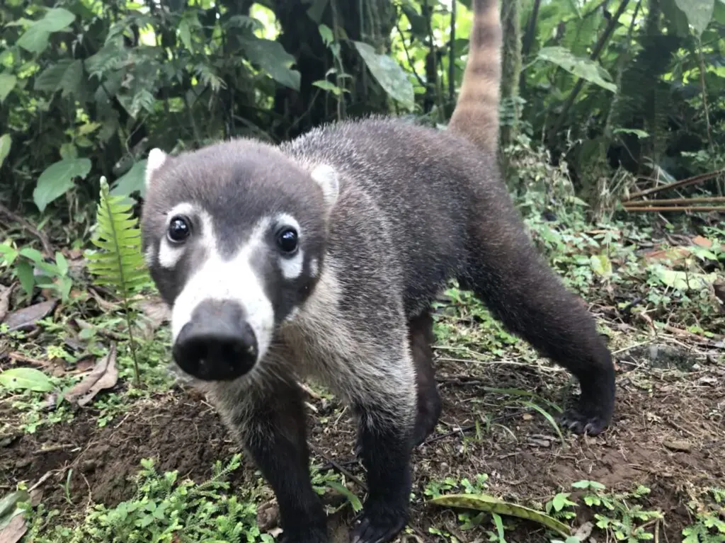 ca1a19f1 79e7 4e04 9b14 d39ac6bbcdd6.jpg