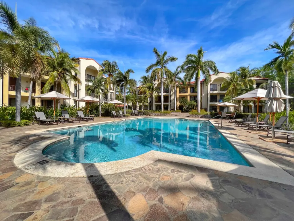 cdd2ee1c 5c0c 46e8 8f27 c8dd3d215336.jpg