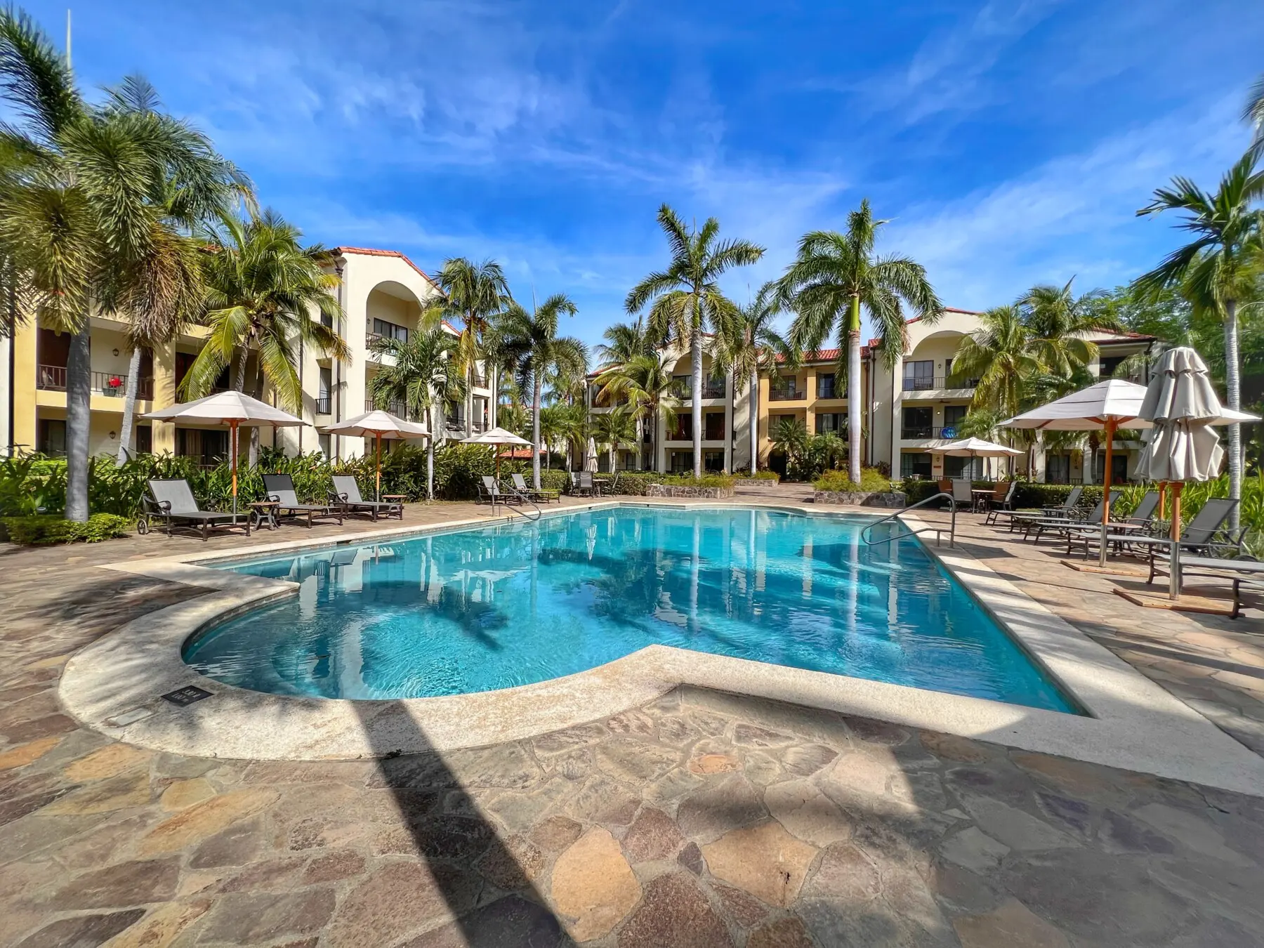 cdd2ee1c 5c0c 46e8 8f27 c8dd3d215336.jpg