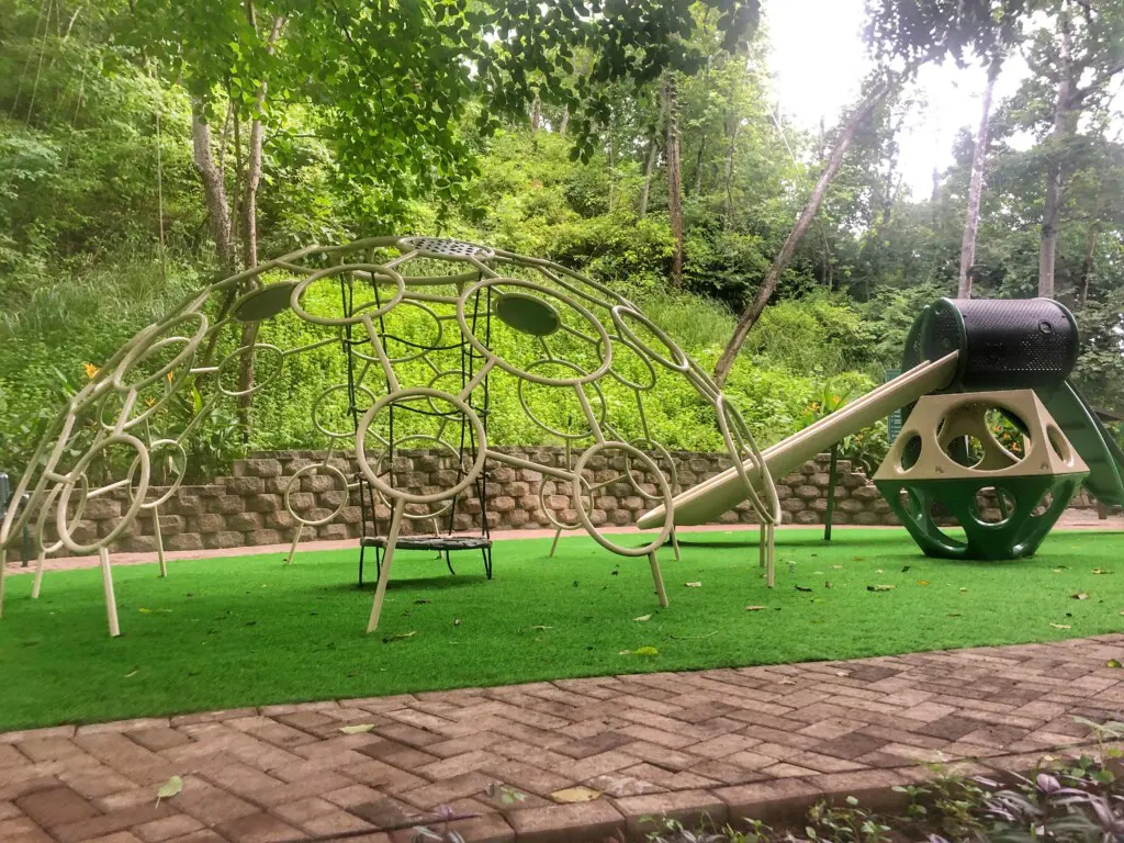 ce7d67c9 aa44 4f6d a262 eba4e5c24986.jpg