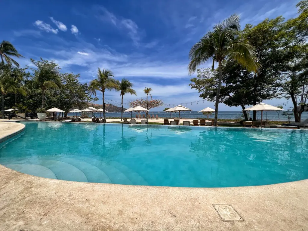 d0034d2e 47eb 4dfa 8ee0 9ed10702dedb.jpg