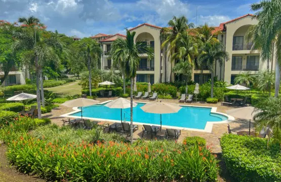 d069db05 5496 4dd4 b3d2 4e459e59c086.jpg