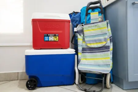 d1b383e0 0607 4597 9305 0730e0f35afd.jpg