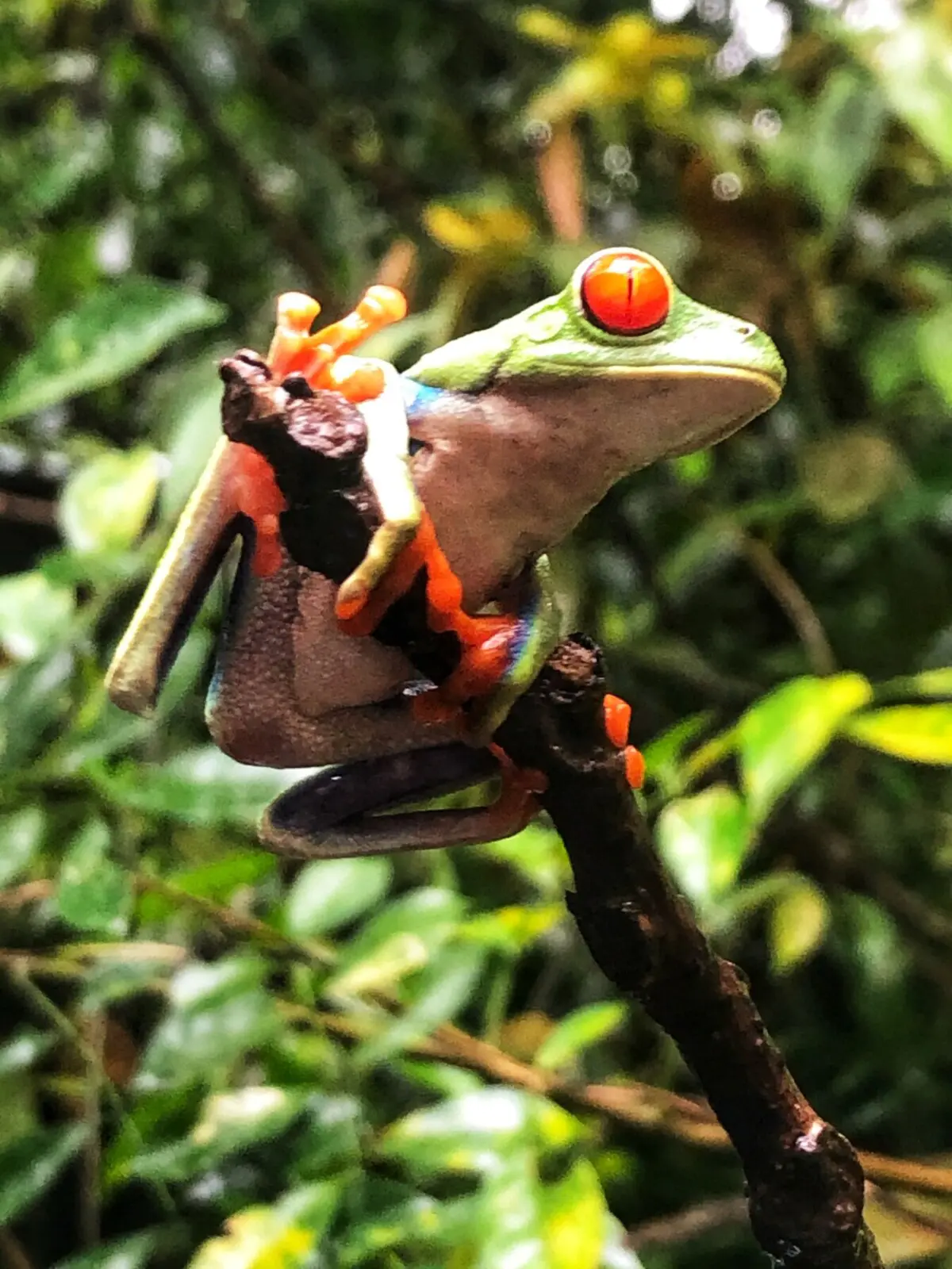 d2b31f55 456c 4044 b9a8 7ea7479c9a64.jpg