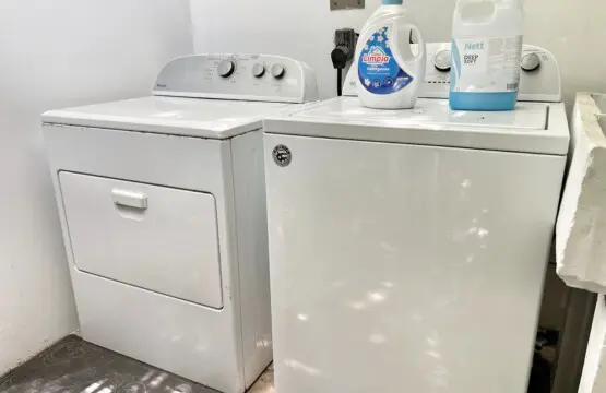 d385553b ddb6 41d0 94fb f9be4387e0e5.jpg