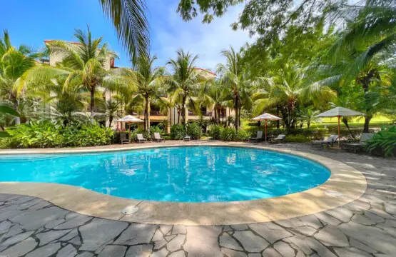 d5a189b3 6454 4b16 9639 a7936c21a557.jpg