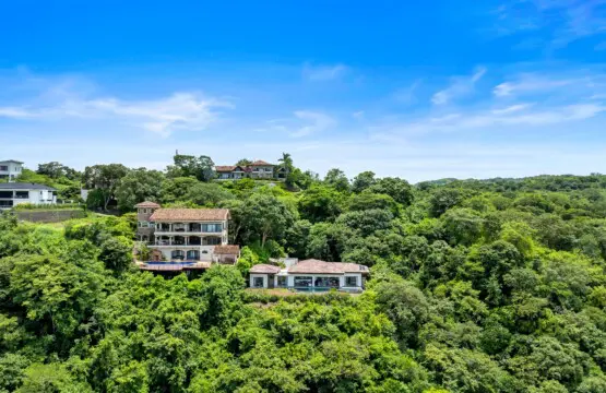 d76714c6 b582 4f8b b95f 73db9ebed274.jpg