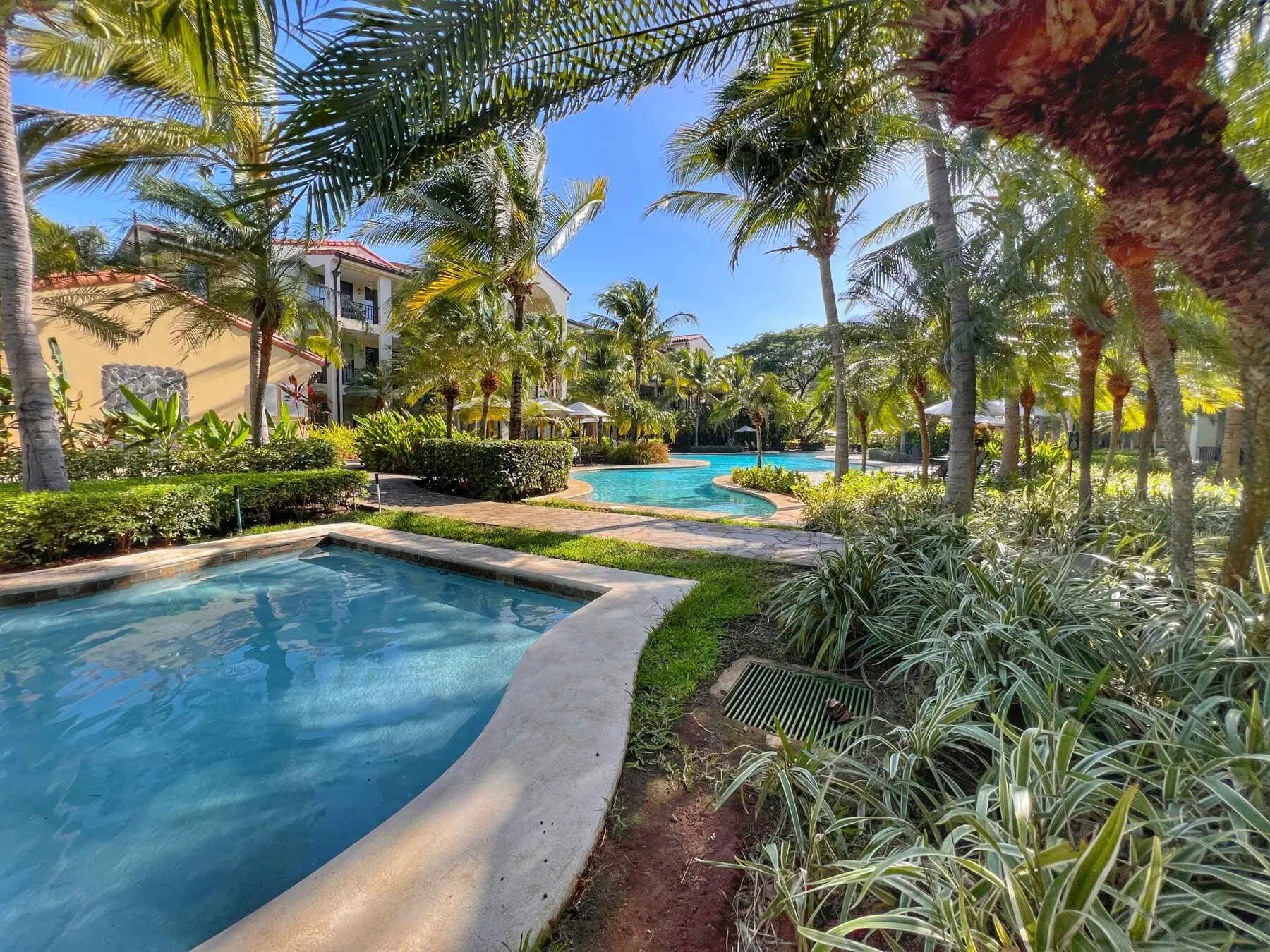 d7971b87 6ce5 469c b13c 632734ba7ef9.jpg