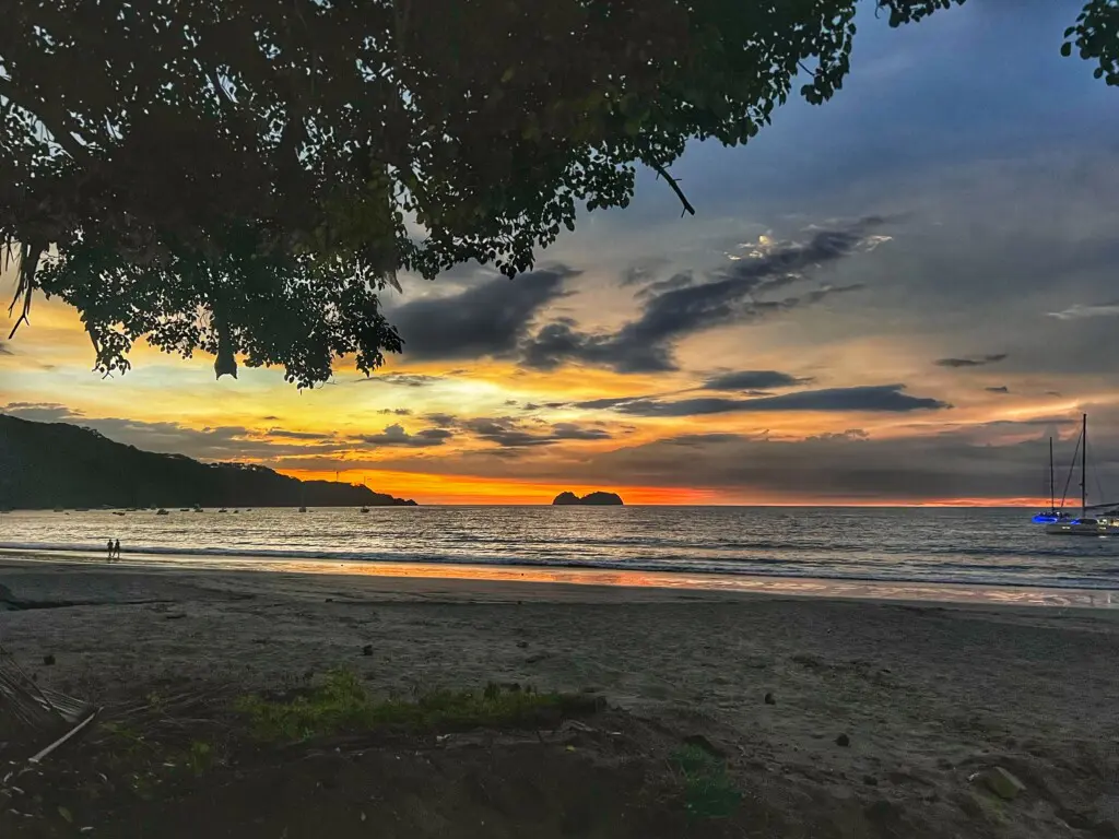 d7b0017b c549 4745 844a 0b58ba9998a9.jpg