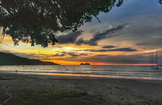 d7b0017b c549 4745 844a 0b58ba9998a9.jpg