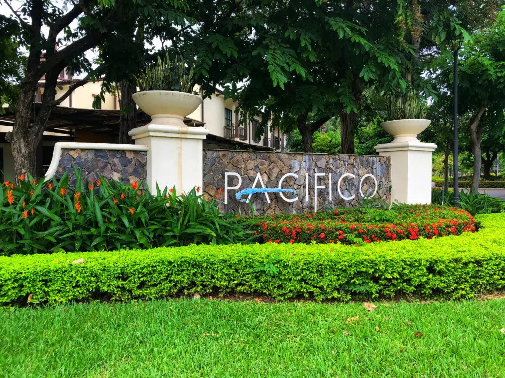 d83ac1d2 9bab 454f 844d 4ed7724bbc99.jpg