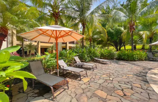 d87ef9d4 f742 4578 93cc b7dc5676174c.jpg