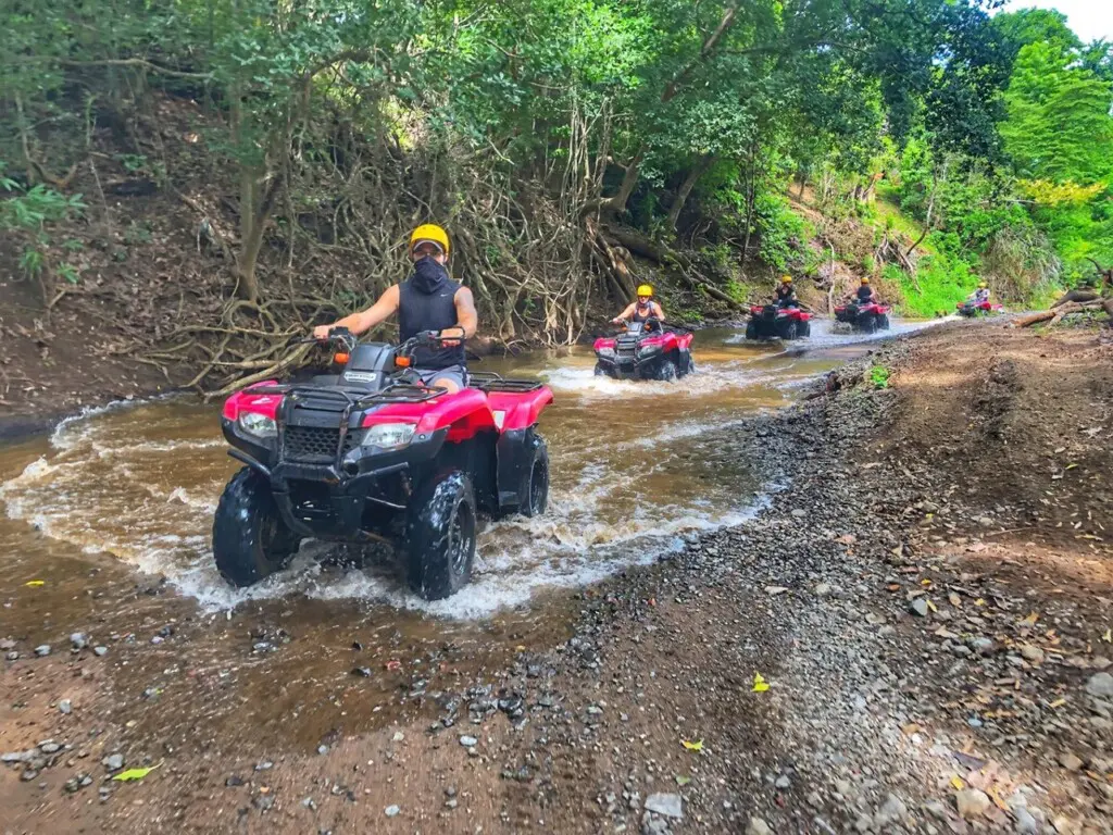 da13a769 6c00 47c4 b7ed 28698cab14cf.jpg