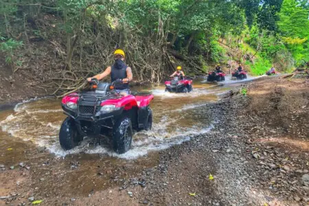 da13a769 6c00 47c4 b7ed 28698cab14cf.jpg